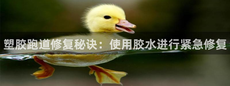 谈球吧红包码：塑胶跑道修复秘诀：使用胶水进行紧急修复