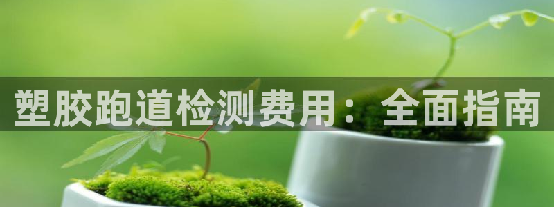 谈球吧咋样黑钱：塑胶跑道检测费用：全面指南