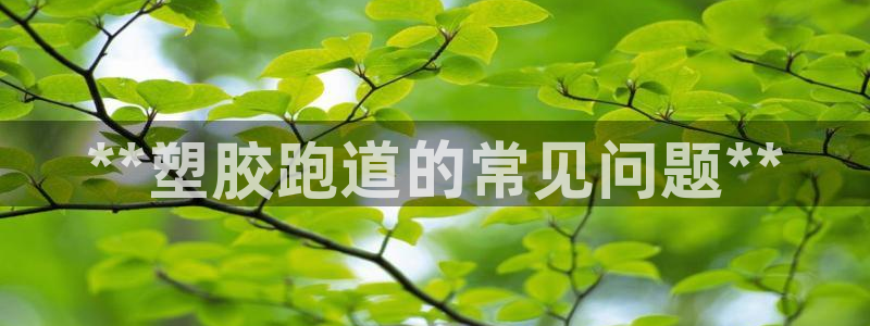 谈球吧是黑台子吗还是白台子好：**塑胶跑道的常见问题**