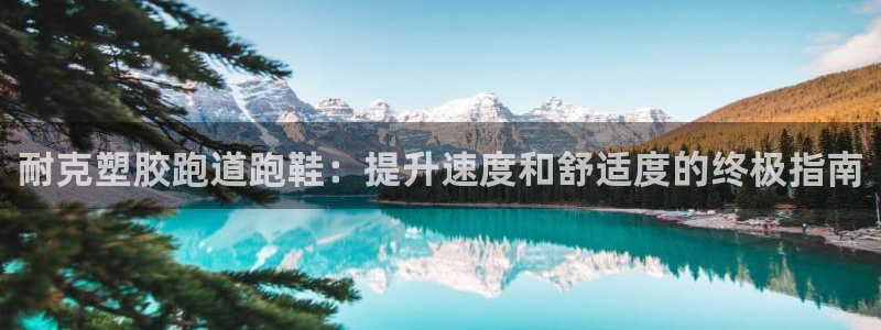 谈球吧最新APP下载：耐克塑胶跑道跑鞋：提升速度和舒适度的终极指南
