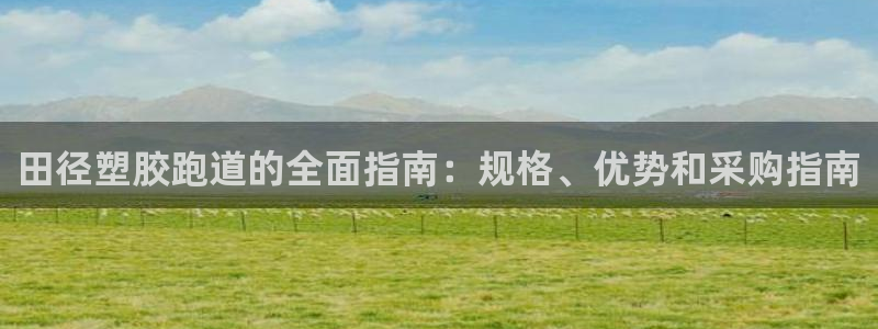 田径塑胶跑道的全面指南：规格、优势和采购指南