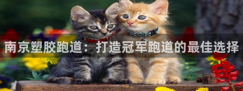 谈球吧app赛事分析在哪里看