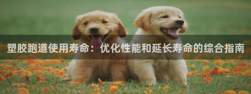 谈球吧的聊天软件：塑胶跑道使用寿命：优化性能和延长寿