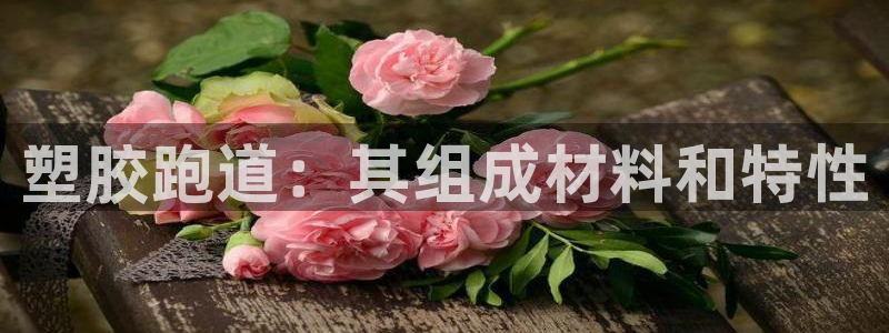 谈球吧官网在线入口免费观看：塑胶跑道：其组成材料和特