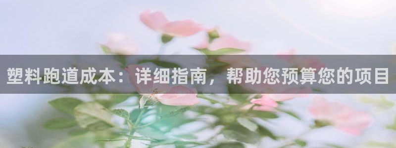 谈球吧的聊天软件：塑料跑道成本：详细指南，帮助您预算您的项目