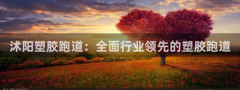 谈球吧属于哪个旗下：沭阳塑胶跑道：全面行业领先的塑胶跑道
