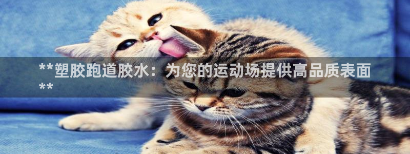 谈球吧怎么充值：**塑胶跑道胶水：为您的运动场提供高品质表面
**