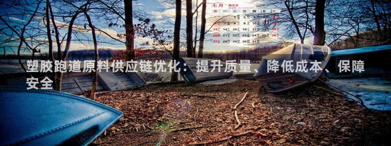 谈球吧买球提现：塑胶跑道原料供应链优化：提升质量、降低成本、保障
安全