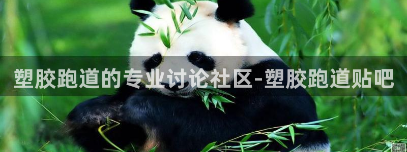 谈球吧是正规平台吗
