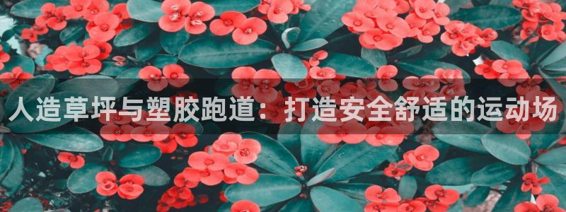 谈球吧出款怎样?