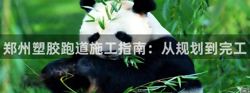 谈球吧app下载ios：郑州塑胶跑道施工指南：从规划到完工