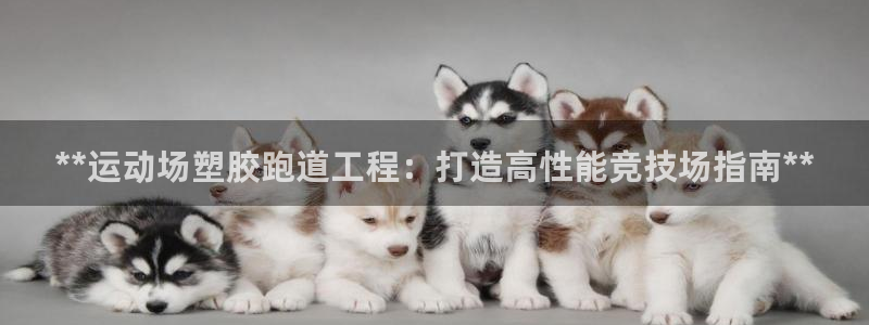 谈球吧真人：**运动场塑胶跑道工程：打造高性能竞技场指南**