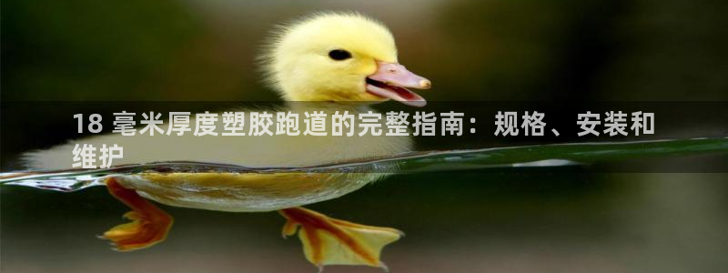 谈球吧入口：18 毫米厚度塑胶跑道的完整指南：规格、安装和
维护