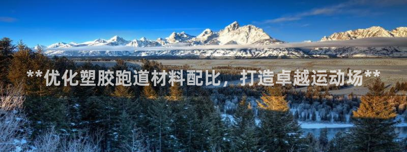 谈球吧官网在线入口手机版：**优化塑胶跑道材料配比，打造卓越运动场**