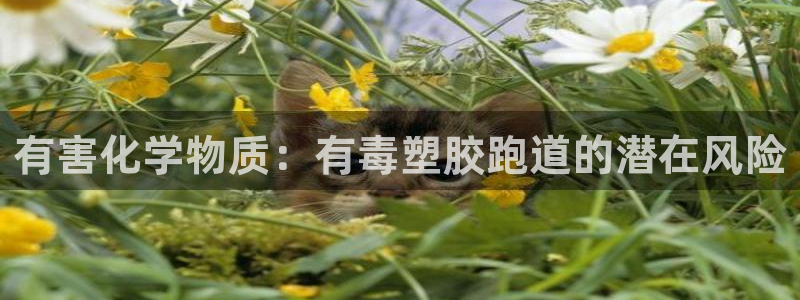 谈球吧官网在线入口手机版免费：有害化学物质：有毒塑胶跑道的潜在风险