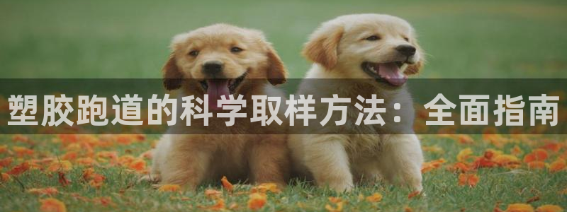 谈球吧体育官方入口：塑胶跑道的科学取样方法：全面指南