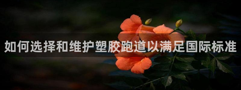谈球吧红包码：如何选择和维护塑胶跑道以满足国际标准