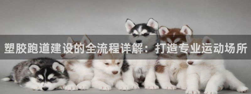 谈球吧官网在线入口手机版下载苹果：塑胶跑道建设的全流