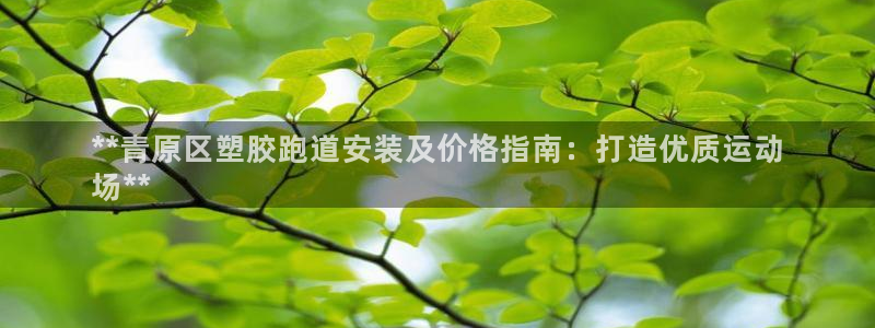 谈球吧app赛事分析报告：**青原区塑胶跑道安装及价格指南：打造优质运动
场**