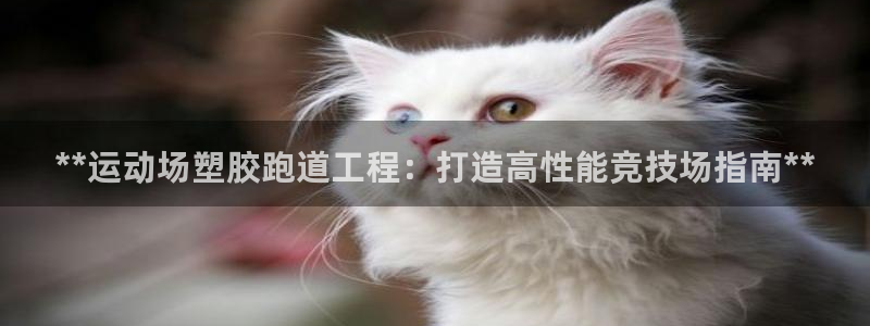 谈球吧体育赛事：**运动场塑胶跑道工程：打造高性能竞技场指南**
