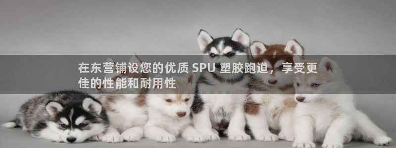 谈球吧app赛事分析报告模板：在东营铺设您的优质 SPU 塑胶跑道，享受更
佳的性能和耐用性