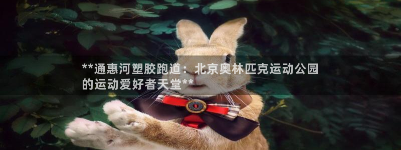 谈球吧体育app下载中心官方最新版：**通惠河塑胶跑道：北京奥林匹克运动公园
的运动爱好者天堂**