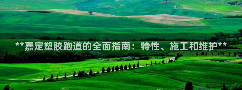 谈球吧论坛：**嘉定塑胶跑道的全面指南：特性、施工和维护**