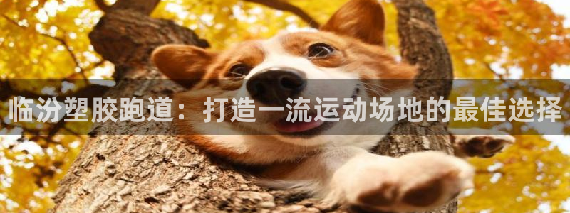 谈球吧app官方下载：临汾塑胶跑道：打造一流运动场地的最佳选择