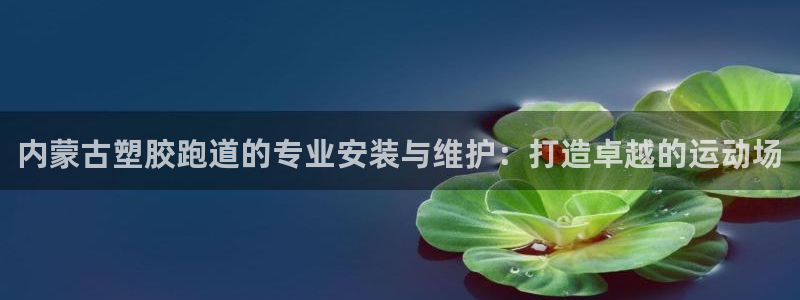 谈球吧体育app下载中心在哪：内蒙古塑胶跑道的专业安装与维护：打造卓越的运动场