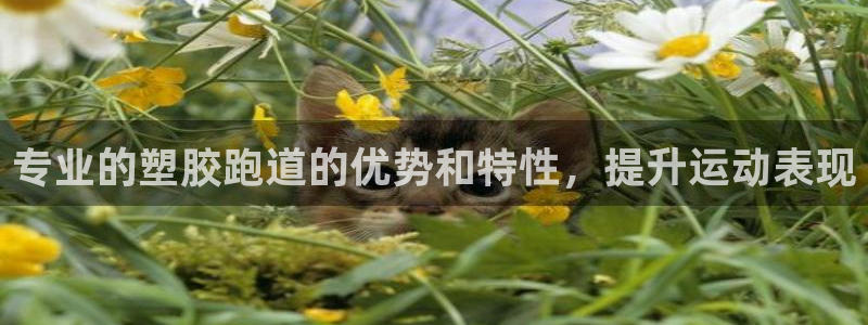 谈球吧是黑台子吗知乎：专业的塑胶跑道的优势和特性，提升运动表现