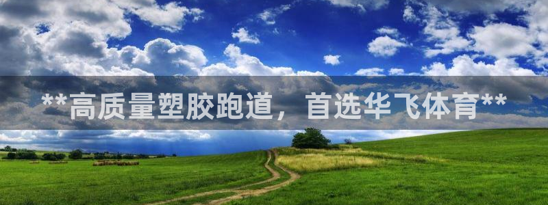 谈球吧app赛事分析报告模板：**高质量塑胶跑道，首选华飞体育**