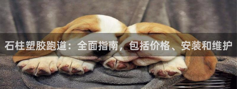 谈球吧(中国)官方网站：石柱塑胶跑道：全面指南，包括