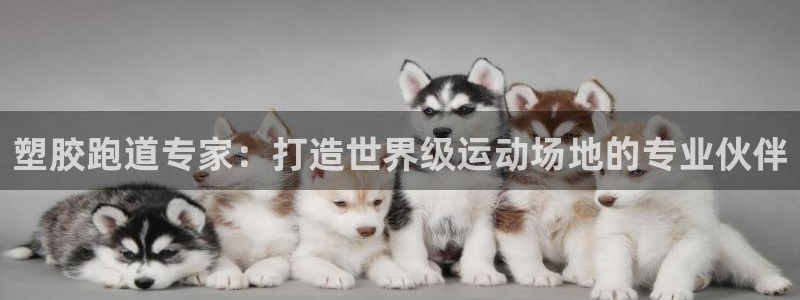 谈球吧官网在线入口手机版下载苹果：塑胶跑道专家：打造世界级运动场地的专业伙伴