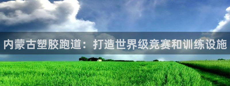 谈球吧全站app下载手机版：内蒙古塑胶跑道：打造世界级竞赛和训练设施