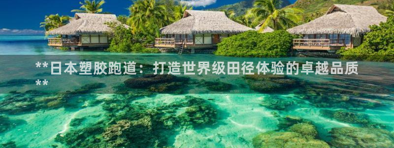 谈球吧官网在线入口免费观看视频网站：**日本塑胶跑道：打造世界级田径体验的卓越品质
**