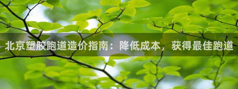 谈球吧平台app下载网址：北京塑胶跑道造价指南：降低成本，获得最佳跑道