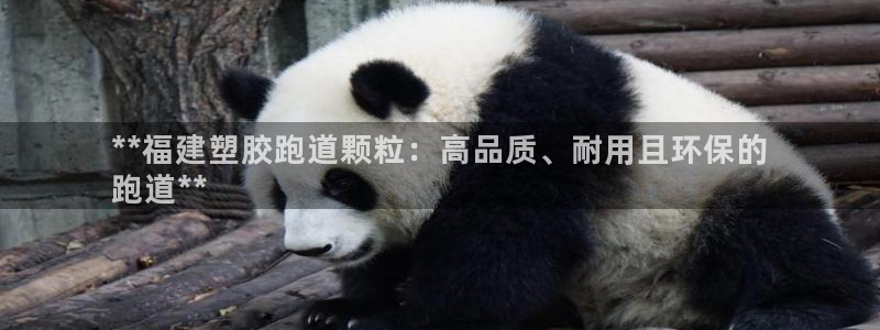 谈球吧官网在线入口免费观看视频：**福建塑胶跑道颗粒：高品质、耐用且环保的
跑道**