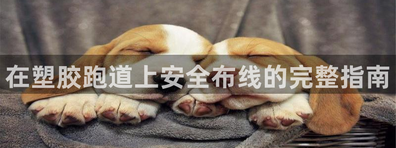 谈球吧平台正规吗可靠吗安全吗：在塑胶跑道上安全布线的完整指南
