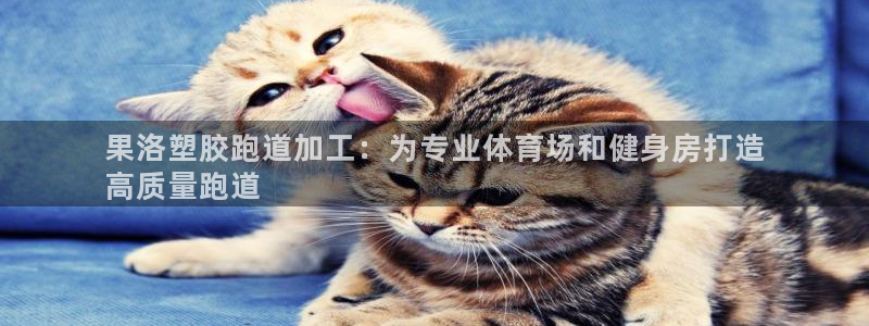 谈球吧体育app下载官网手机版：果洛塑胶跑道加工：为专业体育场和健身房打造
高质量跑道