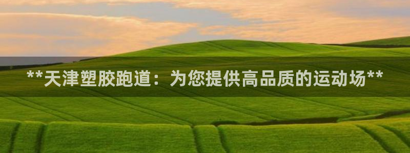 谈球吧网站：**天津塑胶跑道：为您提供高品质的运动场