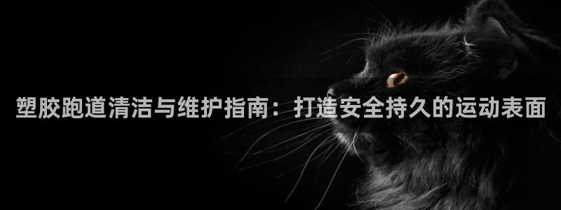 谈球吧官网在线入口免费观看视频：塑胶跑道清洁与维护指南：打造安全持久的运动表面
