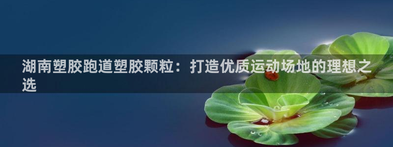 谈球吧娱乐app下载官网苹果版：湖南塑胶跑道塑胶颗粒：打造优质运动场地的理想之
选