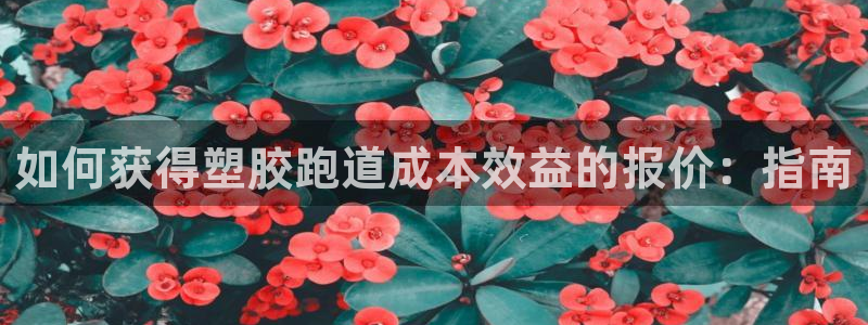 谈球吧可靠吗：如何获得塑胶跑道成本效益的报价：指南