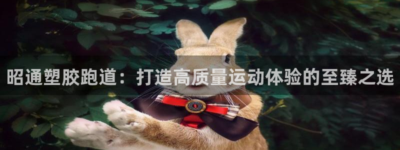 谈球吧娱乐app下载官网苹果：昭通塑胶跑道：打造高质
