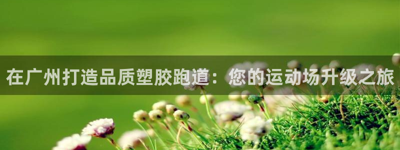 谈球吧体育app登陆不了：在广州打造品质塑胶跑道：您