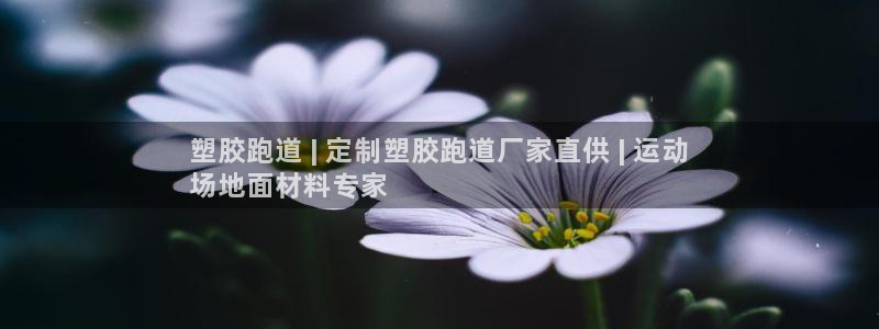 谈球吧出款怎样?：塑胶跑道 | 定制塑胶跑道厂家直供