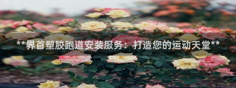 谈球吧：**界首塑胶跑道安装服务：打造您的运动天堂*