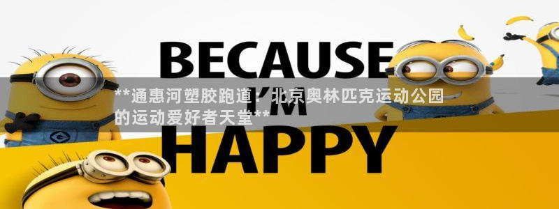 谈球吧的聊天软件是什么：**通惠河塑胶跑道：北京奥林