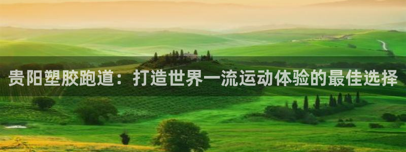 谈球吧平台app：贵阳塑胶跑道：打造世界一流运动体验