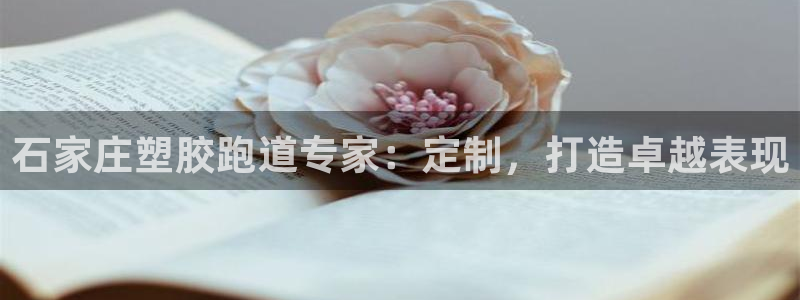 谈球吧与普通平台对比：石家庄塑胶跑道专家：定制，打造
